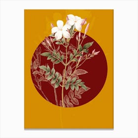 Vintage Botanical Spanish Jasmine Jasminum Grandiflorum on Circle Red on Yellow n.0261 Canvas Print