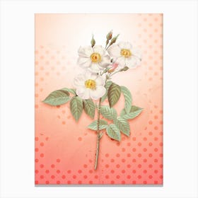 Rose of Castile Vintage Botanical in Peach Fuzz Polka Dot Pattern n.0018 Canvas Print