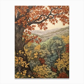 European Black Alder 4 Vintage Autumn Tree Print  Canvas Print