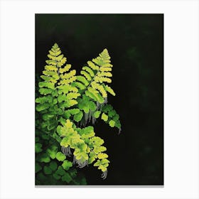 Southern Maidenhair Fern Painting 1 Canvas Print