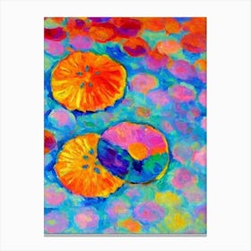 Sand Dollar Matisse Inspired Canvas Print