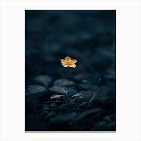 Single Flower In The Dark 87 Canvas Print