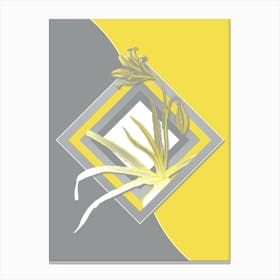 Vintage Amaryllis Broussonetii Botanical Geometric Art in Yellow and Gray n.091 Canvas Print