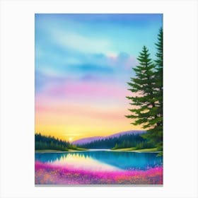 Sunset In The Forest Canvas Print