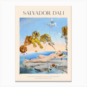 Salvador Dali - Dream Canvas Print