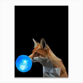 Fox With Blue Ball Canvas Print