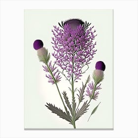 Purple Prairie Clover Wildflower Vintage Botanical Canvas Print