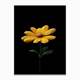 Single Yellow Flower 22 Canvas Print