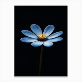 Blue Flower 9 Canvas Print