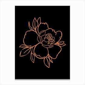 Peony Flower On Black Background Canvas Print