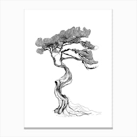 Bonsai Tree Japanese Art Minimalist Elegant Illustration Canvas Print