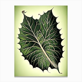 Betel Leaf Vintage Botanical 2 Canvas Print