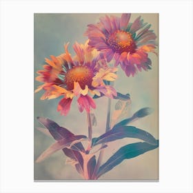 Iridescent Flower Gaillardia 2 Canvas Print