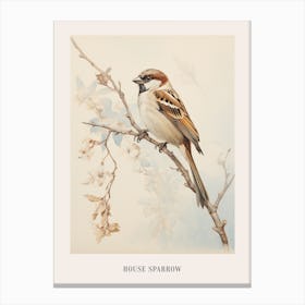 Vintage Bird Drawing House Sparrow 2 Poster Canvas Print