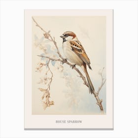 Vintage Bird Drawing House Sparrow 2 Poster Toile