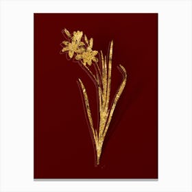 Vintage Ixia Tricolor Botanical in Gold on Red Canvas Print