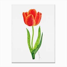 Tulip7 Canvas Print