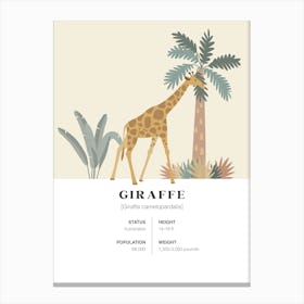 Giraffe - Jungle Fact Canvas Print