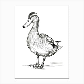 B&W Mallard Duck Canvas Print
