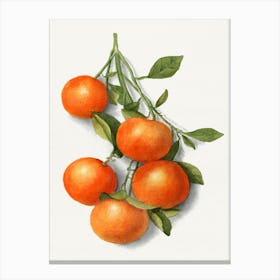 Tangerines Canvas Print