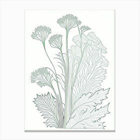 Angelica Herb William Morris Inspired Line Drawing 2 Canvas Print