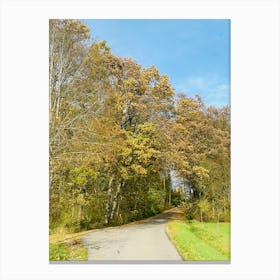 Autumn Leaves On A Road 1 Canvas Print