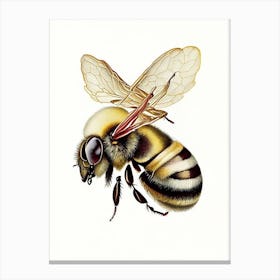 Sting Bee 1 Vintage Canvas Print