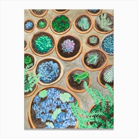 Succulents Canvas Print