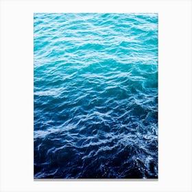 Blue Tide Canvas Print