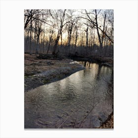 Stream In The Woods Canvas Print