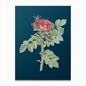 Vintage Kamtschatka Rose Botanical Art on Teal Blue n.0927 Canvas Print