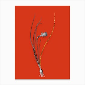 Vintage Daffodil Black and White Gold Leaf Floral Art on Tomato Red n.0373 Canvas Print