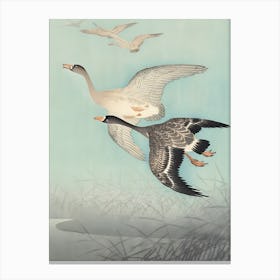 Geese In Flight Canvas Print