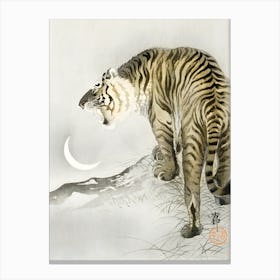 Roaring tiger Canvas Print