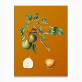 Vintage Pear Botanical on Sunset Orange Canvas Print
