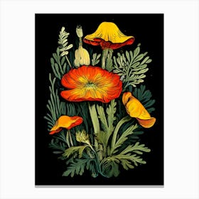 Wild Poppy Canvas Print