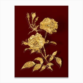 Vintage Vintage Ever Blowing Rose Botanical in Gold on Red n.0184 Canvas Print