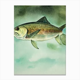 Portuguese Dogfish Storybook Watercolour Canvas Print
