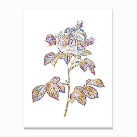 Stained Glass Vintage Rosa Alba Mosaic Botanical Illustration on White Canvas Print