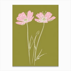 Pink & Green Love In A Mist 3 Canvas Print