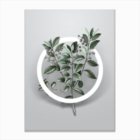 Vintage Evergreen Oak Minimalist Botanical Geometric Circle on Soft Gray n.0301 Canvas Print