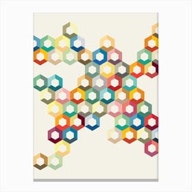 Colourful Honeycomb Canvas Print