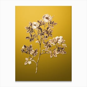 Gold Botanical Rose Corymb on Mango Yellow n.0463 Canvas Print