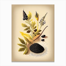 Black Mustard Seeds Spices And Herbs Retro Drawing 1 Canvas Print