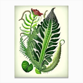 Hart's Tongue Fern Wildflower Vintage Botanical 2 Canvas Print