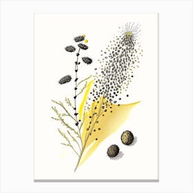 Black Mustard Seed Spices And Herbs Pencil Illustration 2 Canvas Print