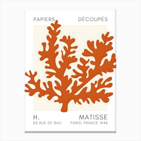 H Matisse 21 Canvas Print