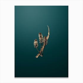 Gold Botanical Meadow Squill Flower on Dark Teal n.0146 Canvas Print