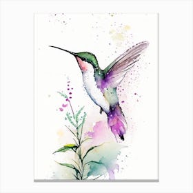 Hummingbird In A Garden Minimalist Watercolour Canvas Print