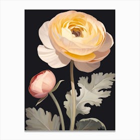 Ranunculus 4 Flower Painting Canvas Print